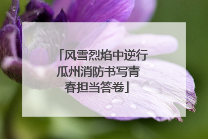 风雪烈焰中逆行 瓜州消防书写青春担当答卷